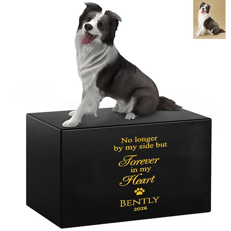 The PawPrint Dog Urn features a lifelike 3D black and white Border Collie sculpture on a black urn engraved in gold: No longer by my side but forever in my heart. Bently 2026. Includes a corner photo of your pet.