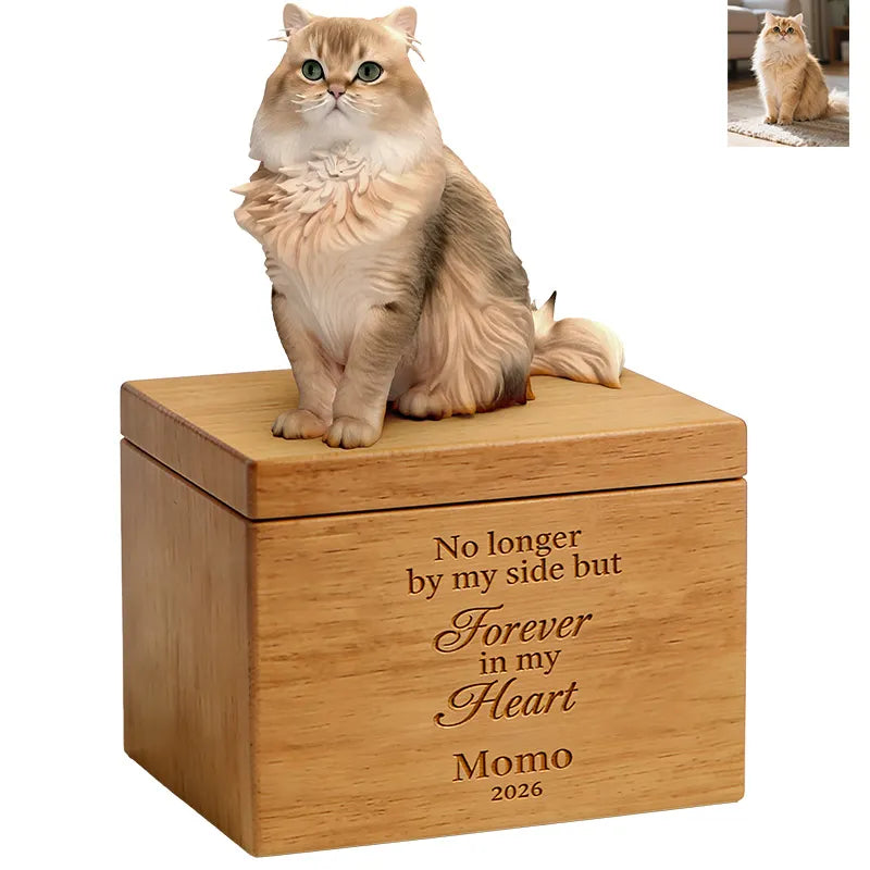 A fluffy, light brown and cream cat sits on a wooden PawPrint Cat Urn engraved with "No longer by my side but Forever in my Heart. Momo 2026." An inset photo shows the same cat beside a customizable remembrance statue.