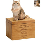 A fluffy, light brown and cream cat sits on a wooden PawPrint Cat Urn engraved with "No longer by my side but Forever in my Heart. Momo 2026." An inset photo shows the same cat beside a customizable remembrance statue.