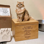 The PawPrint Cat Urn is a customizable cat statue on a wooden box engraved with "No longer by my side but Forever in my Heart, Momo, 2026," beside a clay paw print and pet memorial items.