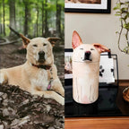 Personalized Dog Urn, Hand-Painted Ceramic Pet Memorial Keepsake Box – Custom Portrait from Photo, Dog Ashes Keepsake for Large & Small Breeds