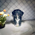 Personalized Dog Urn, Hand-Painted Ceramic Pet Memorial Keepsake Box – Custom Portrait from Photo, Dog Ashes Keepsake for Large & Small Breeds