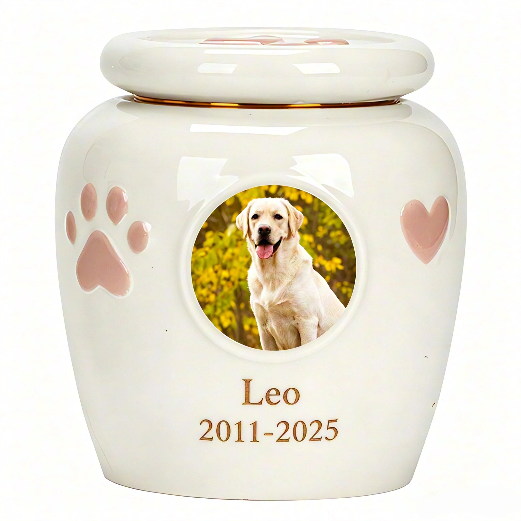 Custom Photo Large Dog Urn - Personalized Ceramic Memorial for Medium to Large Breeds